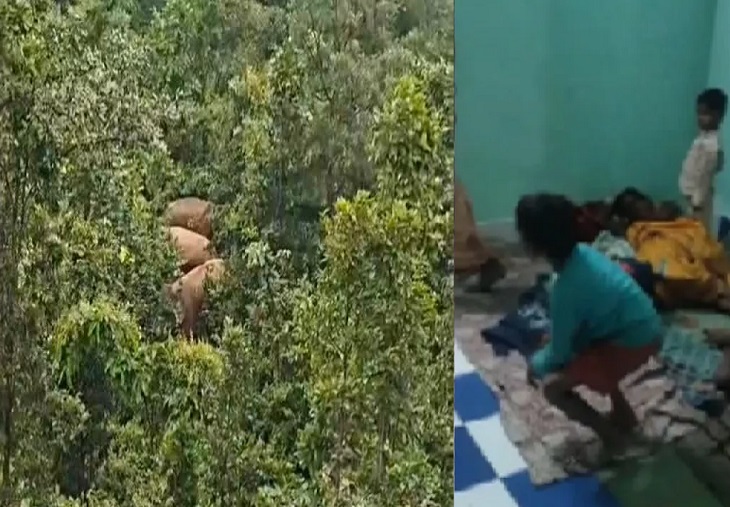 अमृतधारा में 12 हाथियों की दस्तक, सुरक्षा के लिए ग्रामीणों को रेस्ट हाउस में किया गया शिफ्ट