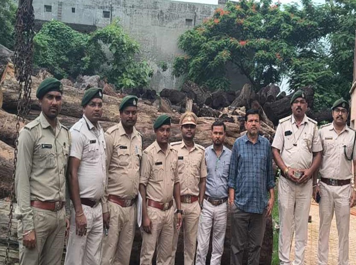 10 लाख की साल लकड़ी की अवैध हेराफेरी का खुलासा, आरा मिल सील