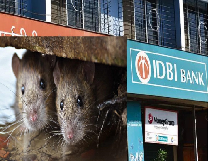 बैंक प्रबंधन को सतर्कता और निगरानी बढ़ाने की जरुरत