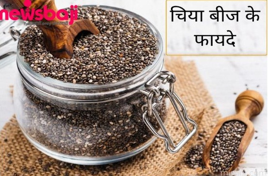 चिया सीड गुणों से भरपूर