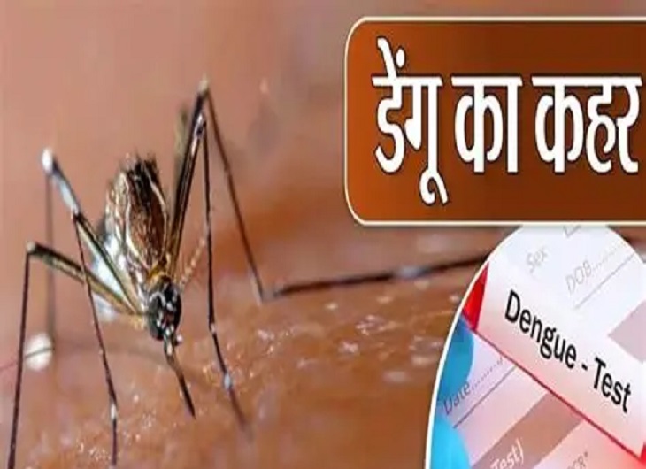 डेंगू के बढ़ते मामलों ने स्वास्थ्य महकमें को चिंता में डाला। 