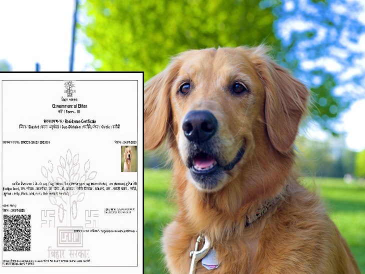  बिहार में कुत्ते का भी निवास प्रमाण-पत्र बन रहा है।