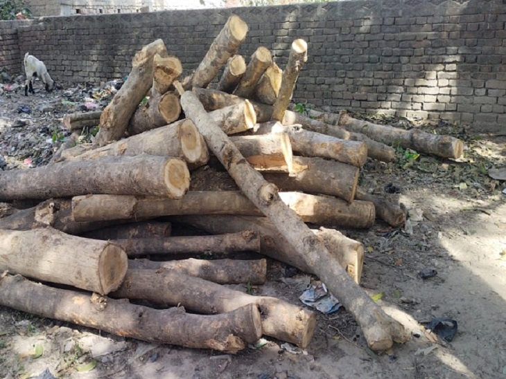 सागौन फर्नीचर बेचने की आड़ में करोड़ों का काला कारोबार और टैक्स चोरी का खुलासा