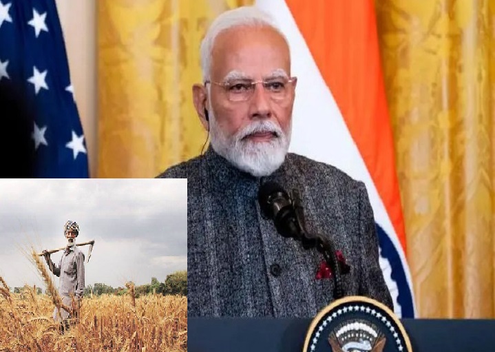 भारत और अमेरिका की ट्रेड डील! भारत के किसानों की चिंता बढ़ाई