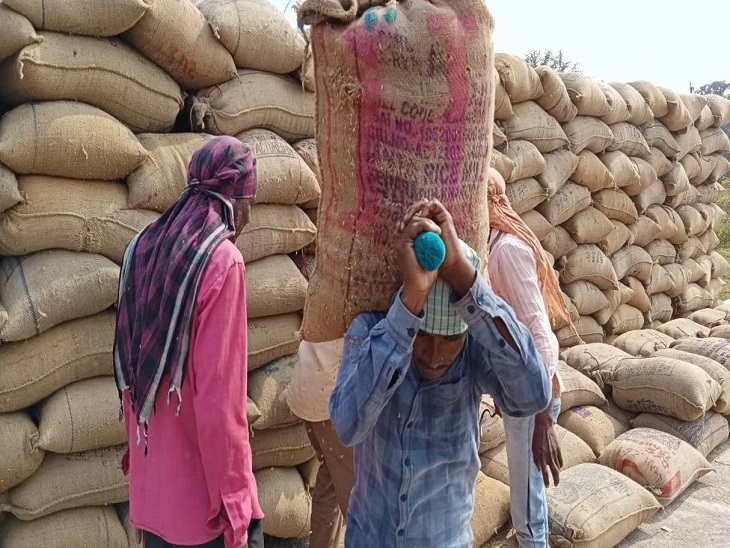 छत्तीसगढ़ में धान खऱीदी की तारीख का ऐलान