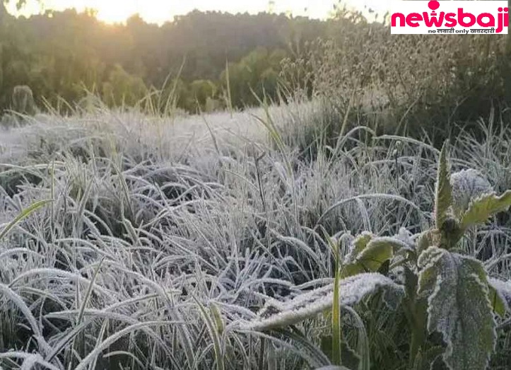 छत्तीसगढ़ में मौसम के कड़े तेवर, ठंड से लोग हलाकान